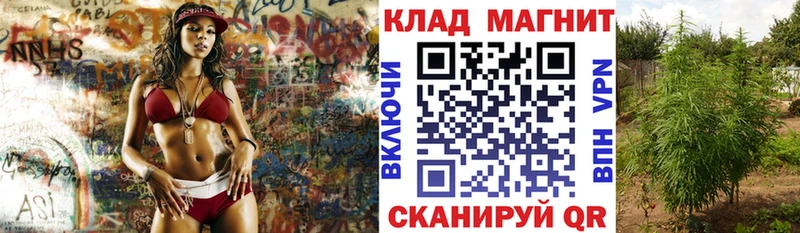 Цена Луза ГАШ 