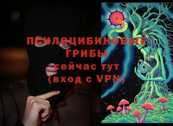 бутират Алексин